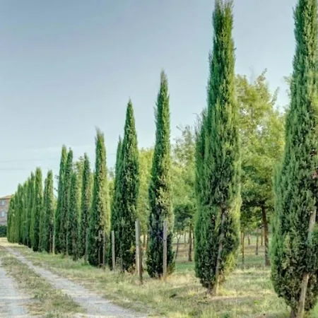Fattoria Gli Ziri Villa